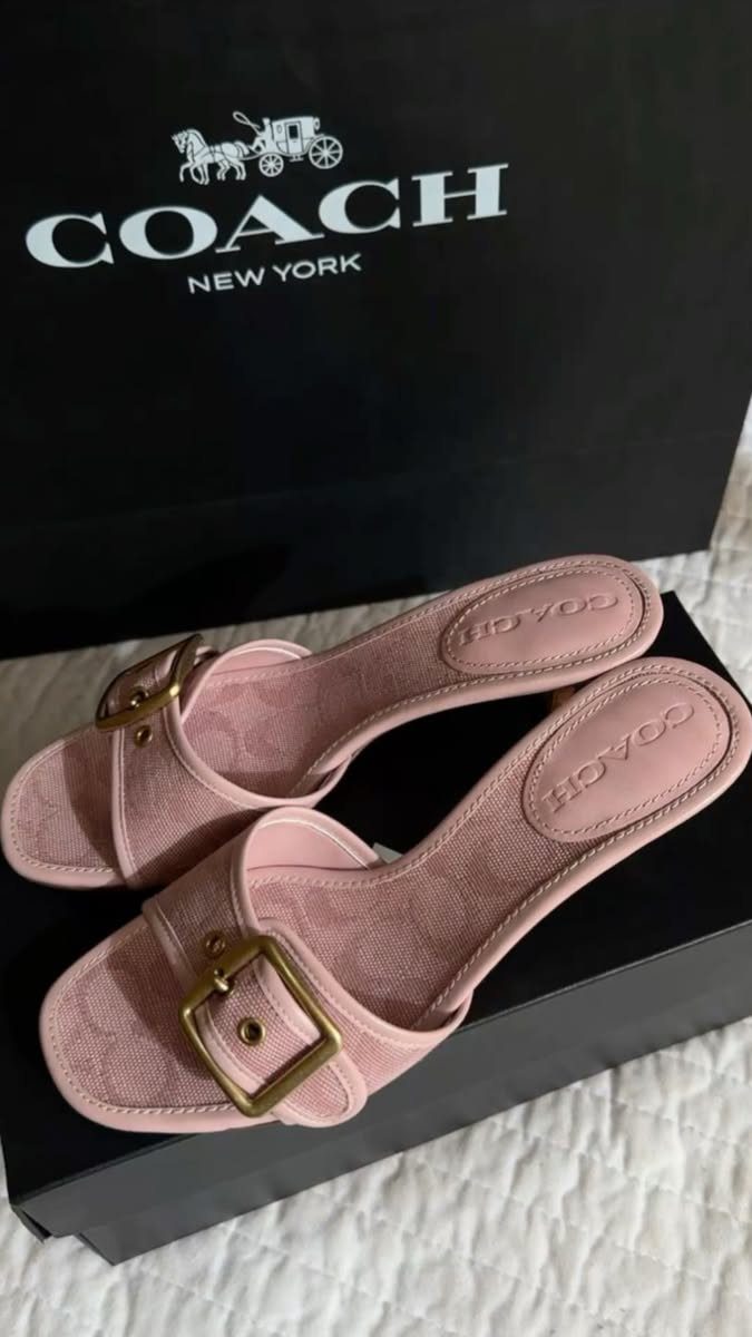 Light pink Coach slide sandals with gold buckles on a black shoe box.