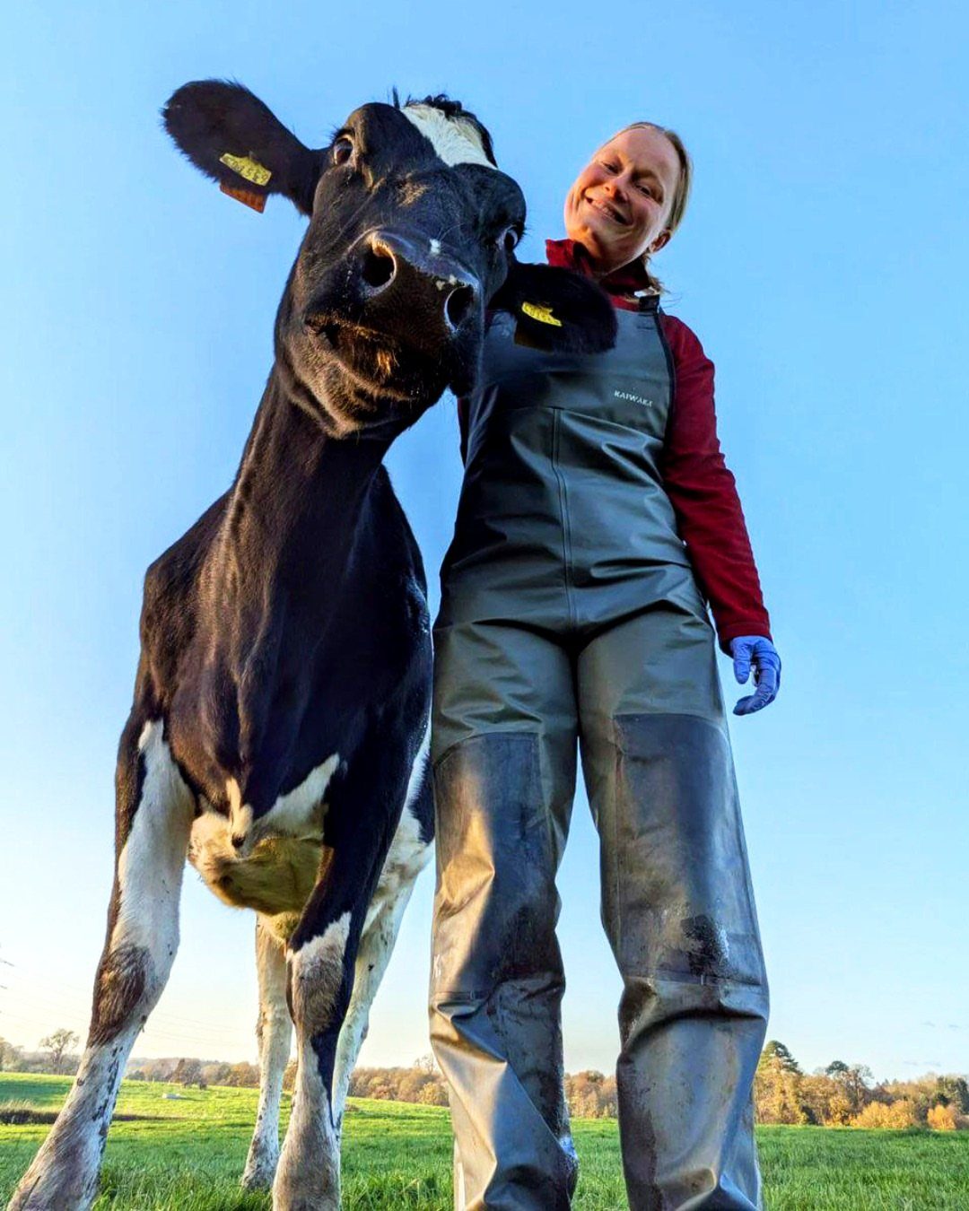Woman in waterproof overalls and red shirt standing beside a black and white cow.